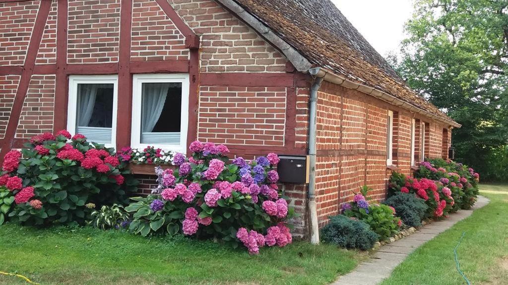 Von Wiegen, Ferienwohnungen Schneverdingen Dış mekan fotoğraf